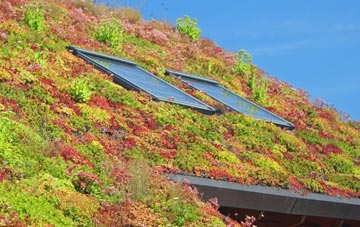 Redmarley Dabitot living roof systems